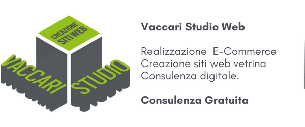 vaccari studio banner